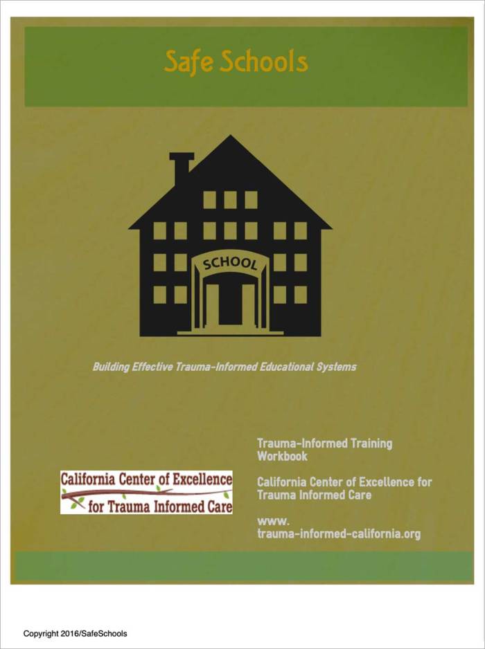 safe school manual cover